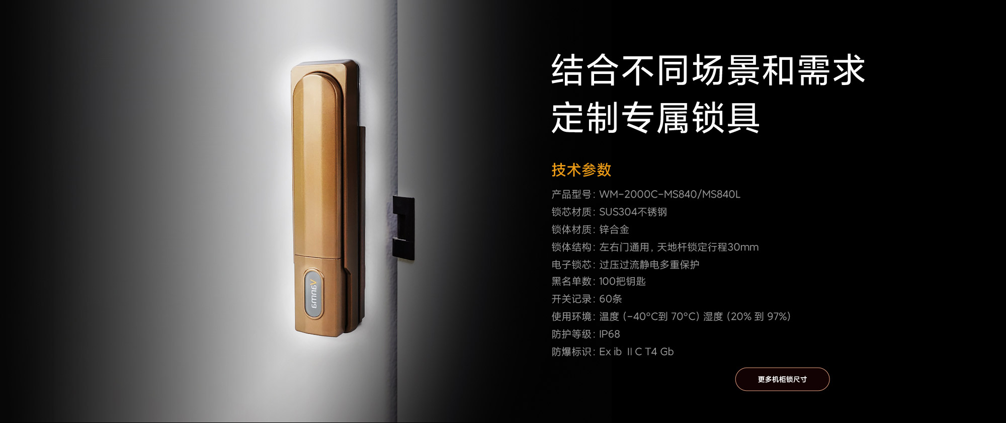 MS840-機(jī)柜鎖詳情頁(yè)-2000-OK_04.jpg